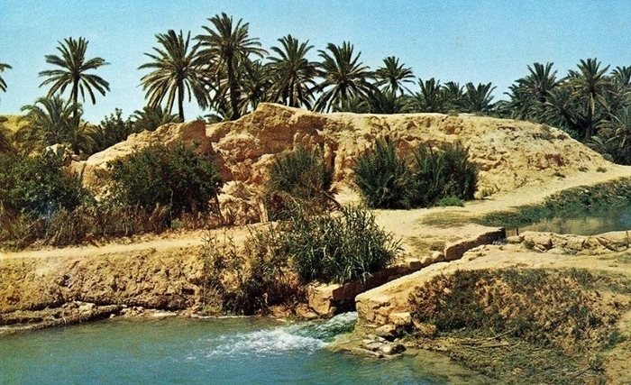 165407229990_content
